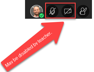 participant tool bar in blackboard collaborate ultra with arrow pointing to microphone and webcam icons, stating that these tools may be disabled.