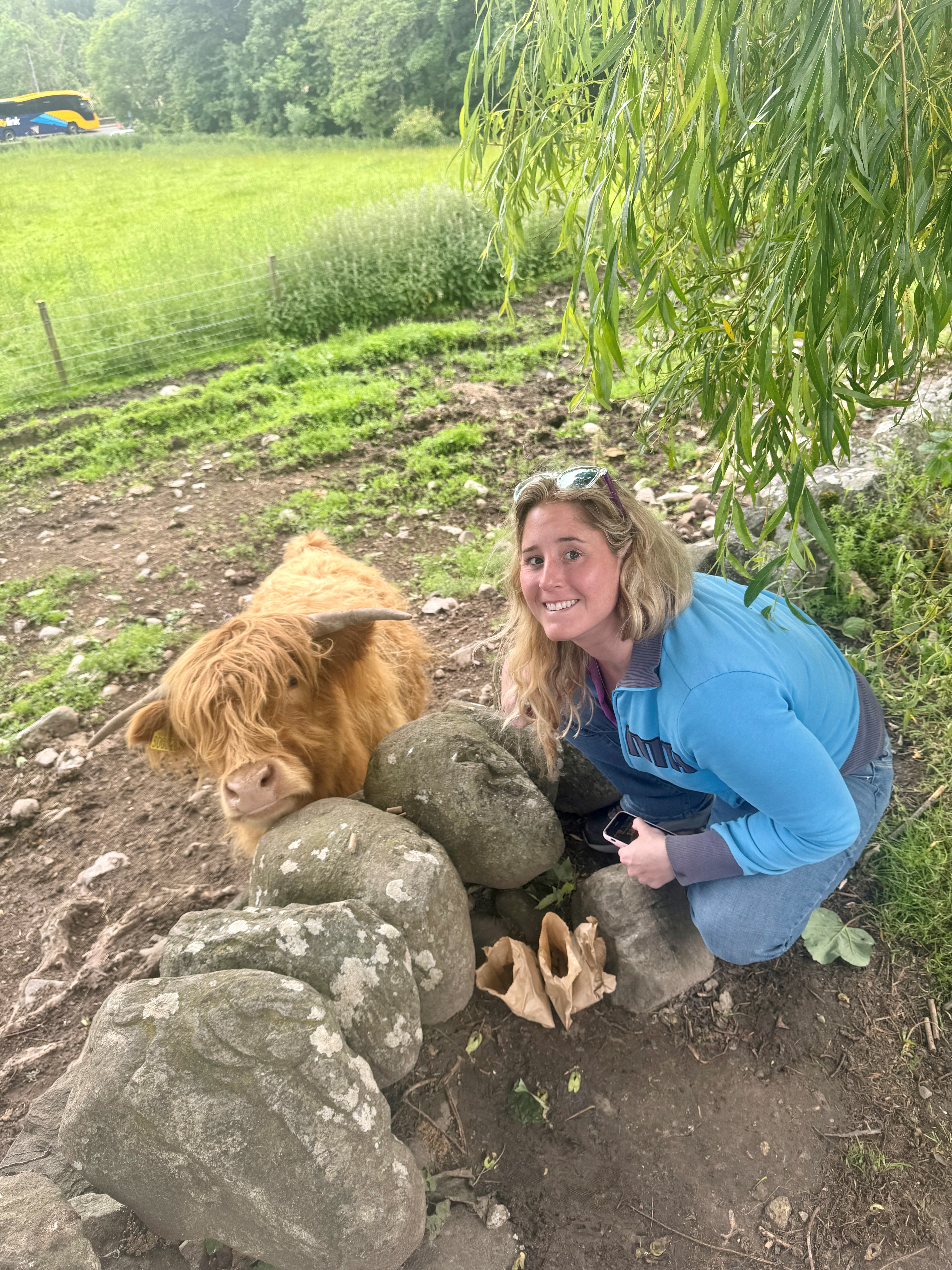 ms. maas poses next to rocks with a small highland cow. cow has shaggy golden and short horns. Ms. maas wears blue jeans and a light blue fleece. sunglasses on the top of her head hold back her shoulder length blonde hair. background is a green countryside.