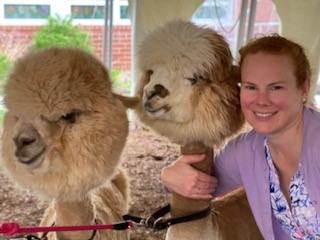 two alpacas pose for a picture with Mrs. thomas. She wears a purple cardigan over a flowered blouse.